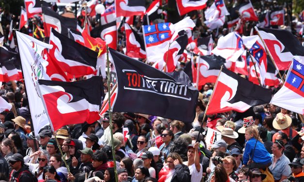 Hīkoi mō Te Tiriti: Flags of hope
