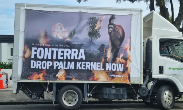 Palm kernel and the colonial project