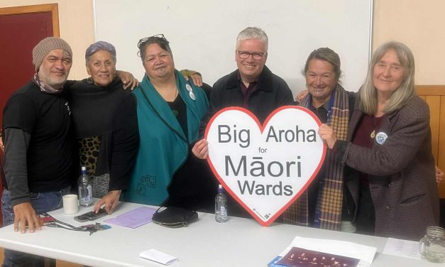 Māori wards: More than a vote
